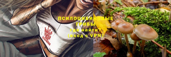 твердый Балахна