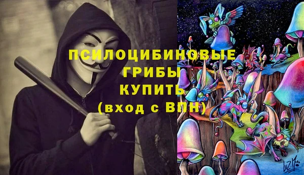 mdma Белокуриха